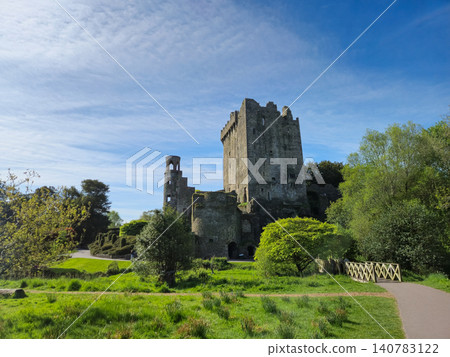 Historic stone castle ruins in a lush green park Historic stone castle ruins in a lush green park 140783122