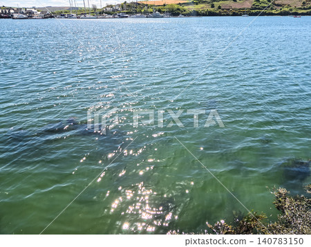 Sunlit harbor water with distant marina and hills Sunlit harbor water with distant marina and hills 140783150