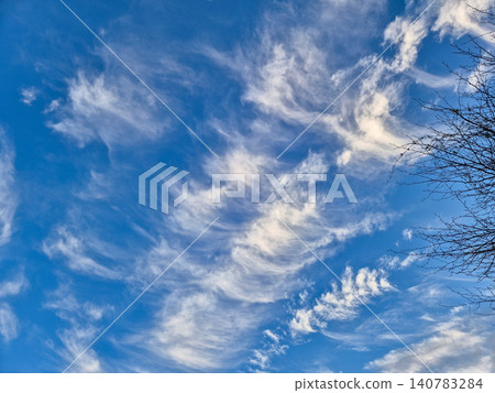Blue sky with wispy cirrus clouds and bare branches Blue sky with wispy cirrus clouds and bare branches 140783284