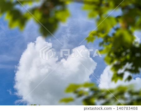 Soft Clouds Seen Through Green Leaves 140783408