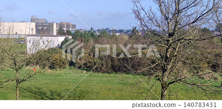 Grassy parkland with bare trees near urban buildings Grassy parkland with bare trees near urban buildings 140783431