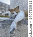 A brown and white cat relaxes with its front paws stretched out on a stone monument on Senaga Island. 140783911
