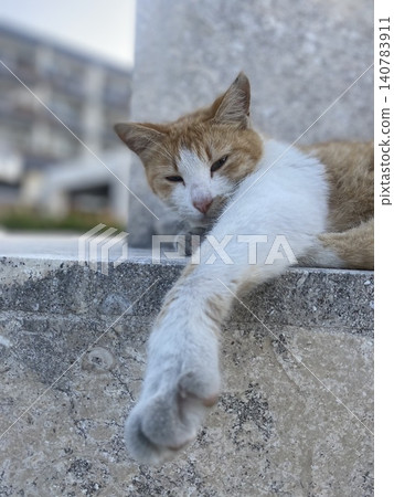 A brown and white cat relaxes with its front paws stretched out on a stone monument on Senaga Island. A brown and white cat relaxes with its front paws stretched out on a stone monument on Senaga Island. 140783911