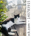 Black and white cat relaxes on a wooden deck in a cafe-style outdoor terrace. 140783915
