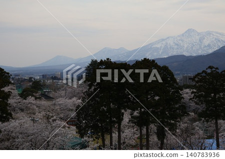 琴平神社和磐梯山的櫻花 琴平神社和磐梯山的櫻花 140783936