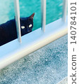 A black cat's eyes peeking through a fence, against the backdrop of the Okinawan sea. 140784101