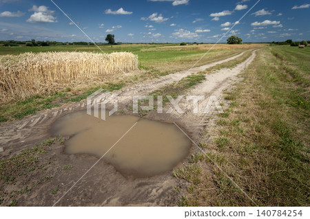 A puddle after rain on a dirt road next to a grain field A puddle after rain on a dirt road next to a grain field 140784254