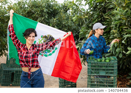 Smiling farmers holding Mexico flag in avocado plantation Smiling farmers holding Mexico flag in avocado plantation 140784436