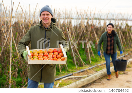 Portrait of man farmer holding box of tomatoes in her hands on farm field 140784492