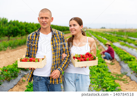 Young smiling couple gathering crop of strawberry on plantation Young smiling couple gathering crop of strawberry on plantation 140784518