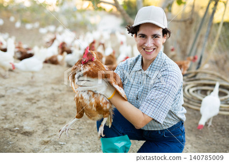 Hispanic female farmer inspecting laying hens on backyard of poultry farm Hispanic female farmer inspecting laying hens on backyard of poultry farm 140785009
