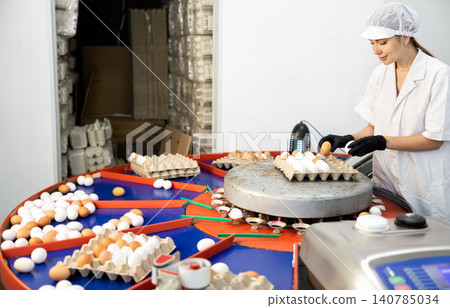 Poultry farm workwoman sorting eggs and packing into cardboard trays Poultry farm workwoman sorting eggs and packing into cardboard trays 140785034