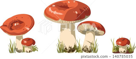 Forest mushroom cluster with morels vector asset Forest mushroom cluster with morels vector asset 140785035