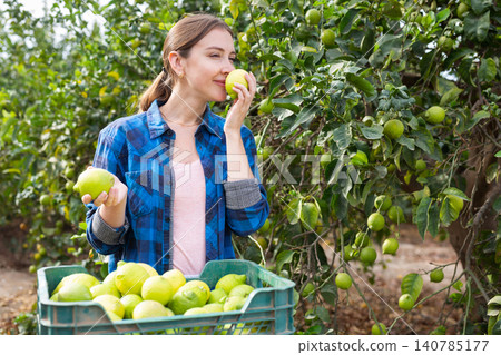Delighted farmer woman holding lemons in fruit farm 140785177
