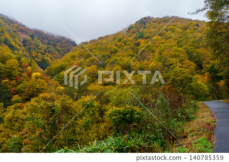 251029 Nagano Prefecture, Okushiga Valley ~ Akiyama Village 251029 Nagano Prefecture, Okushiga Valley ~ Akiyama Village 140785359