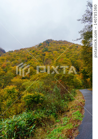 251029 Nagano Prefecture, Okushiga Valley ~ Akiyama Village 140785360