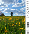 Blooming Rapeseed Field in the Swiss Alps 140785456