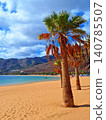 Palm trees frame a beautiful view of Teresitas Bay, where golden sand meets calm turquoise waters beneath the wide Atlantic sky.  140785507