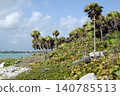 Tulum coast with tropical palm trees and caribbean sea 140785513