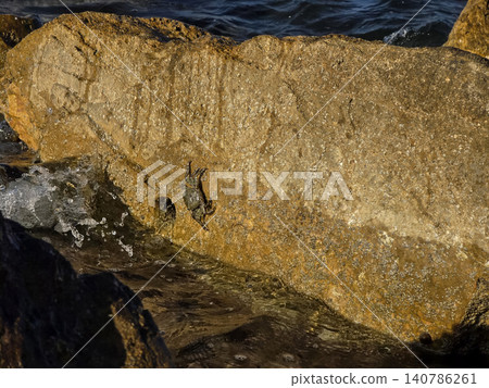 A small wild crab sits on a large golden rock as waves from the ocean crash nearby. This scene shows life at the coast and the relationship between land and sea. A small wild crab sits on a large golden rock as waves from the ocean crash nearby. This scene shows life at the coast and the relationship between land and sea. 140786261