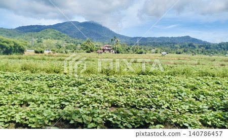 Beautiful Agricultural Field Landscape with Mountain and Blue Sky Background Beautiful Agricultural Field Landscape with Mountain and Blue Sky Background 140786457