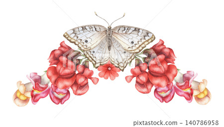 Watercolor White Peacock butterfly and red snapdragon flowers composition. Hand drawn flying insect with dragon mouth illustration. Floral design for wedding invitation card or greeting poster art. Watercolor White Peacock butterfly and red snapdragon flowers composition. Hand drawn flying insect with dragon mouth illustration. Floral design for wedding invitation card or greeting poster art. 140786958