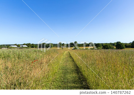 Natural grassland landscape with peaceful rural summer scenery Natural grassland landscape with peaceful rural summer scenery 140787262