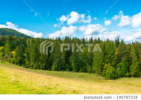 nature scenery with coniferous forest in mountain. carpathian landscape with spruce woodland on the hill. ukraine nature background in early autumn nature scenery with coniferous forest in mountain. carpathian landscape with spruce woodland on the hill. ukraine nature background in early autumn 140787338