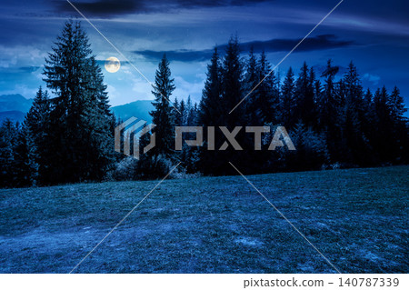 mysterious landscape with coniferous forest in summer at night. fantasy view of mountain landscape in poland. full moon over scenic spruce trees on a grassy alpine meadow. dark sky above the ridge mysterious landscape with coniferous forest in summer at night. fantasy view of mountain landscape in poland. full moon over scenic spruce trees on a grassy alpine meadow. dark sky above the ridge 140787339