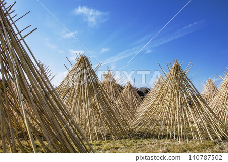 The sight of bamboo drying in the cold; the making of tea whisks; Takayama tea whisks; a symbol of Nara; a winter tradition. The sight of bamboo drying in the cold; the making of tea whisks; Takayama tea whisks; a symbol of Nara; a winter tradition. 140787502