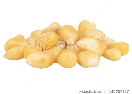 Popcorn kernels pile isolated on white background 140787537