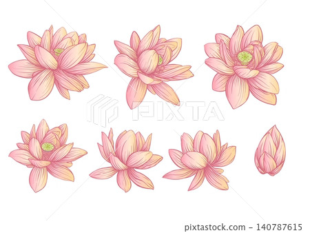 Lotus flower botanical set. Lotus flower botanical set. 140787615