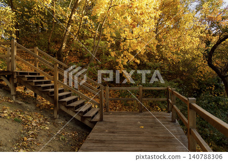 A rustic wooden staircase and boardwalk wind through a forest ablaze with the golden hues of autumn leaves and dappled sunlight A rustic wooden staircase and boardwalk wind through a forest ablaze with the golden hues of autumn leaves and dappled sunlight 140788306