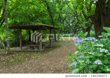 群馬縣澀川市大野池繡球花公園 群馬縣澀川市大野池繡球花公園 140788971