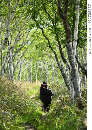 Walking the Lake Mashu Trail Walking the Lake Mashu Trail 140788977