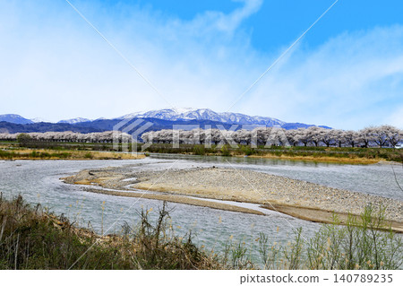 佐賀江河堤岸(溝野部橋附近)兩旁的櫻花樹 佐賀江河堤岸(溝野部橋附近)兩旁的櫻花樹 140789235