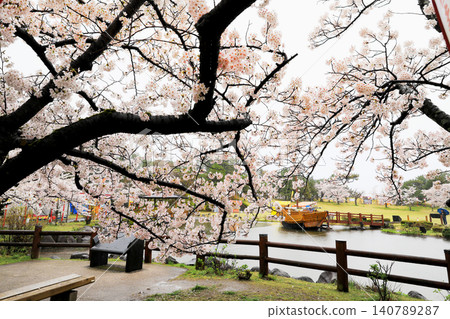 Cherry blossoms at Hiyoriyama Park in Yamagata Prefecture Cherry blossoms at Hiyoriyama Park in Yamagata Prefecture 140789287