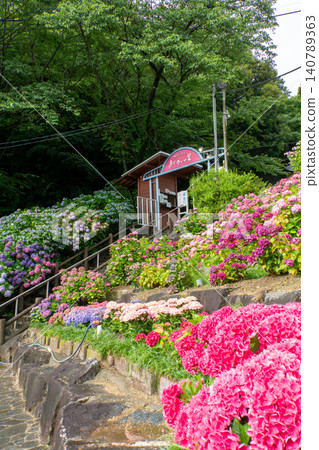 The scenery of Kataraha Onsen Hydrangea Village, where hydrangeas bloom in early summer. The scenery of Kataraha Onsen Hydrangea Village, where hydrangeas bloom in early summer. 140789363