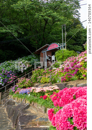 The scenery of Kataraha Onsen Hydrangea Village, where hydrangeas bloom in early summer. The scenery of Kataraha Onsen Hydrangea Village, where hydrangeas bloom in early summer. 140789364