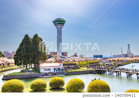 Cherry blossoms at Goryokaku (April, cherry blossoms, sunny) 140789411