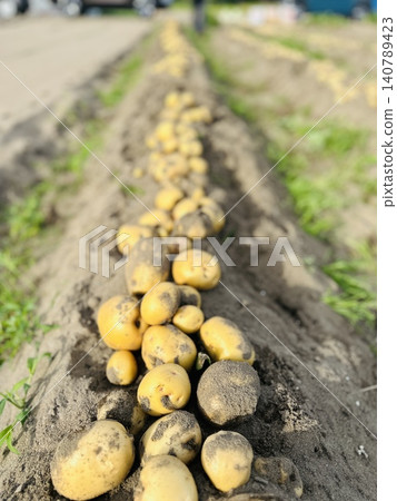 New potato New potato 140789423