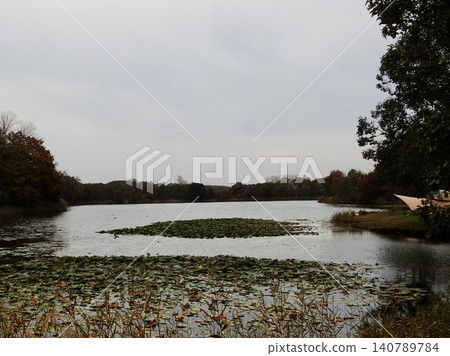 landscape, scape, scene 140789784
