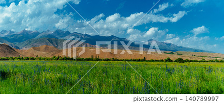 Beautiful panoramic landscape with flower field on mountains background Beautiful panoramic landscape with flower field on mountains background 140789997