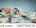Clever shih tzu dog reading book 140790036