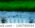 Raindrops at rainy day on green grass background 140790044