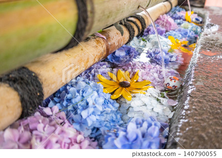 Hydrangea of a water shop 140790055