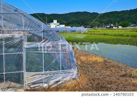 鄉村地區的稻田景色，溫室，靠近道之站西片（路邊車站）。 140790103