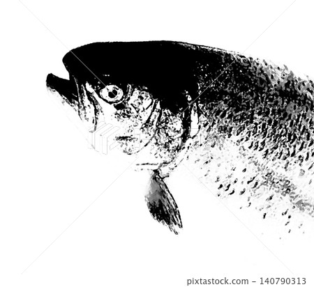 A close-up image of a salmon's head in a black and white silhouette style (black and white monochrome watercolor illustration style with transparency). A close-up image of a salmon's head in a black and white silhouette style (black and white monochrome watercolor illustration style with transparency). 140790313