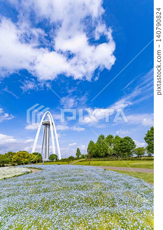 公園景色,盛開的粉蝶花和雙拱門。 公園景色,盛開的粉蝶花和雙拱門。 140790824