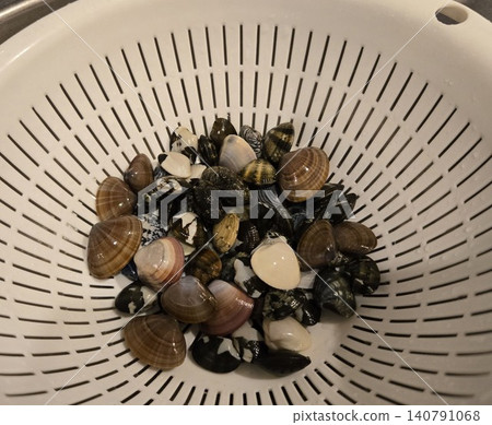 Cleanly washed small clams, surf clams, and ark clams - ingredients for miso soup before cooking. Cleanly washed small clams, surf clams, and ark clams - ingredients for miso soup before cooking. 140791068